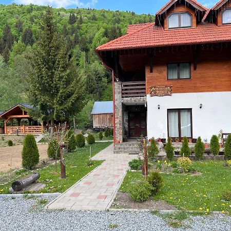 Pensiunea Pietrosul Rodnei Moisei Exterior foto