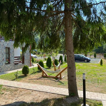 Pensiunea Pietrosul Rodnei Moisei Exterior foto