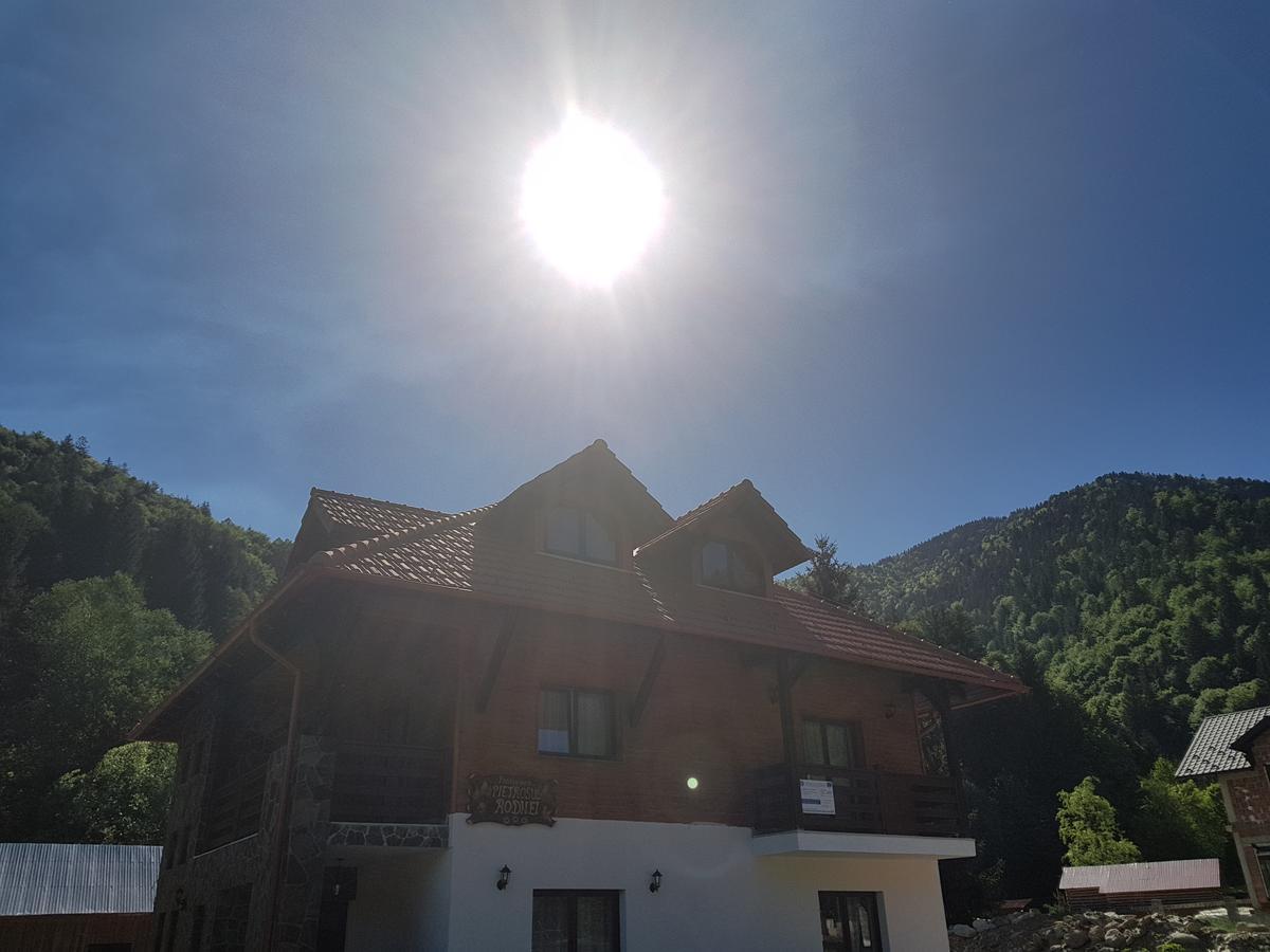 Pensiunea Pietrosul Rodnei Moisei Exterior foto